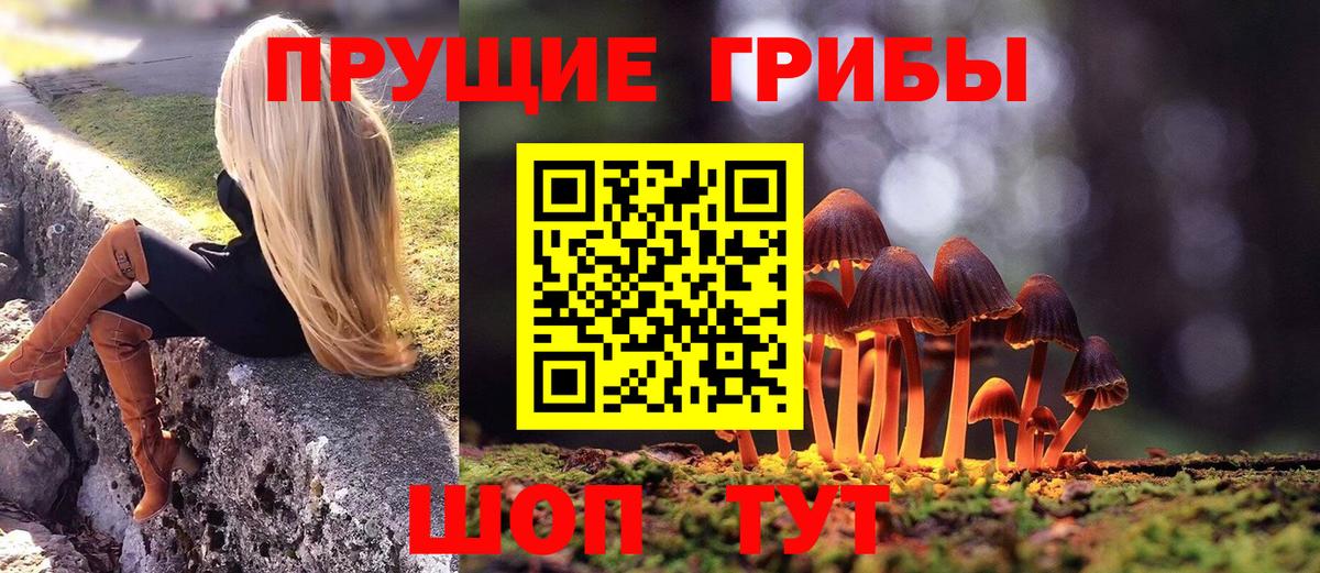 Псилоцибиновые грибы GOLDEN TEACHER Новомосковск