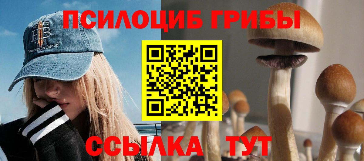 Новомосковск  Галлюциногенные грибы GOLDEN TEACHER  Вход с VPN  Псилоцибиновые грибы Psilocybine cubensis 